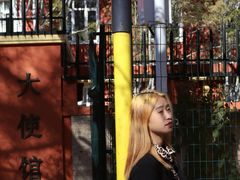 -三里屯东五街银杏大道