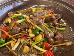 -顺德了能馆(虎门店)