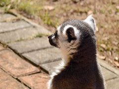 -泉州海丝野生动物世界