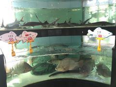 -年顺渔村(大岭山店)