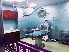 -宠爱国际动物医院· 猫科· 外科·中兽医(长白店)