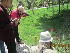 专注-长春公园(普阳街道)