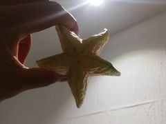 -林旺社区水果市场