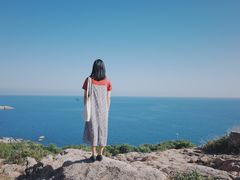 -广东惠东海龟国家级自然保护区