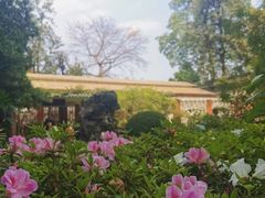 -广州兰圃