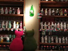 -猫咪博物馆(顶澳仔猫街店)