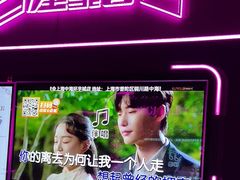 -星聚会KTV X Party(上海真如中海环宇城店)