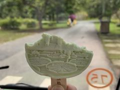-西双版纳傣族园