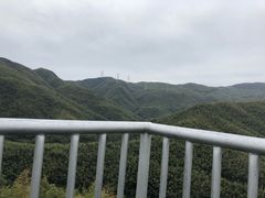 -宁波浙东大竹海景区