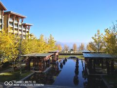 -大理实力希尔顿酒店御璽中餐厅YUXI – CHINESE RESTAURANT