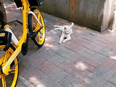-福荫书店