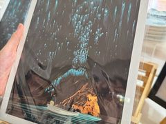 -怀托摩萤火虫洞