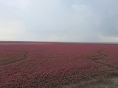-红海滩国家风景廊道