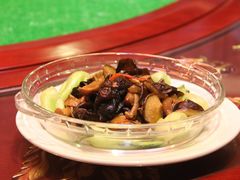 烹炒草原蘑-大汗行宫园林餐厅