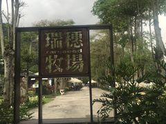 -瑞穗牧场