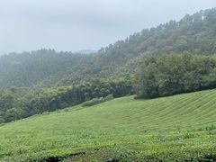 -敬亭山风景名胜区