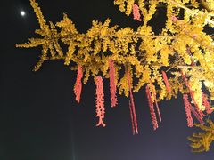 -万达广场(万州店)