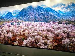 -罗红摄影艺术馆