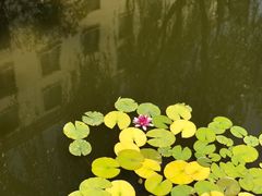 -陕西华浮宫酒店(未央湖公园店)