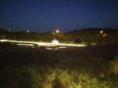 -大塘金香草谷