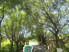 -张坝桂圆林公园
