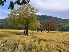 -塔川景区