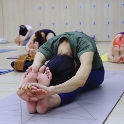 -酉嘉瑜伽YO+YOGA