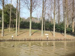 -上海野生动物园