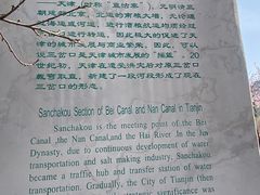-桃花堤公园