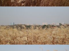 -盘龙城国家考古遗址公园