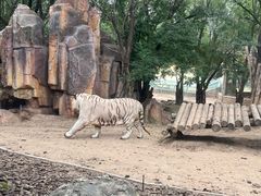 -北京野生动物园