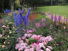 -深圳国际园林花卉博览园