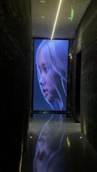 点击看大图 -INSTYLE·SALON