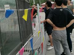 -第五季龙水凤港生态露营农场