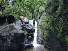 -牛背梁国家森林公园