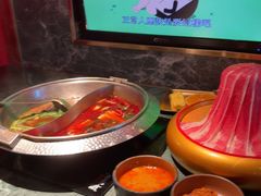 -牛New寿喜烧(金鹰世界店)