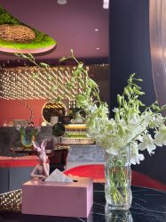 -花隐·美芙炫海菲秀皮肤管理中心