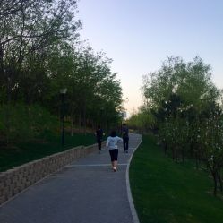 -大望京儿童游乐场