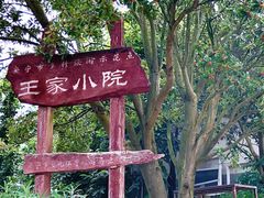 -王家小院