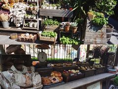-The Grounds of Alexandria