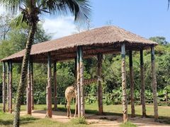 -海南热带野生动植物园