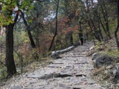 -阳台山自然风景区