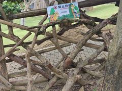 -泉州海丝野生动物世界