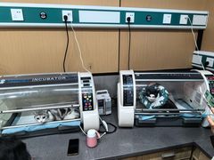 -半岛宠物医院24小时(西派城店)