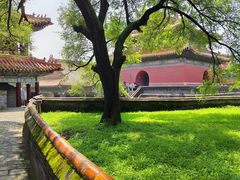 -沈阳市东陵公园