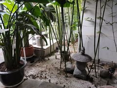 -北平小院设计酒店