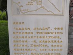 -莲花池公园