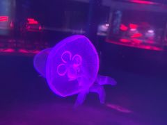 -常州海昌海洋探索馆
