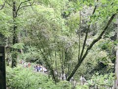 -青城山