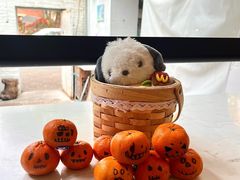 -大象厨房(重庆道店)